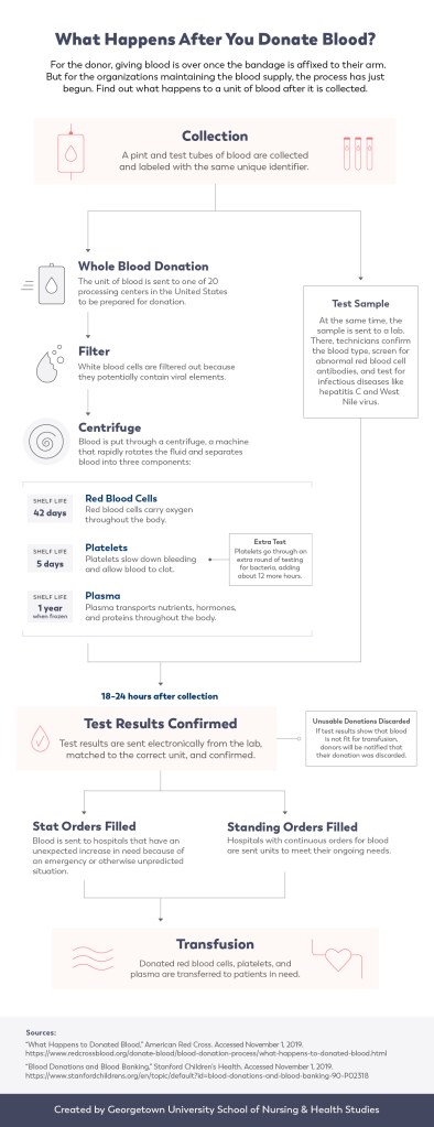 Flow chart explaining how a whole blood donation is processed and distributed