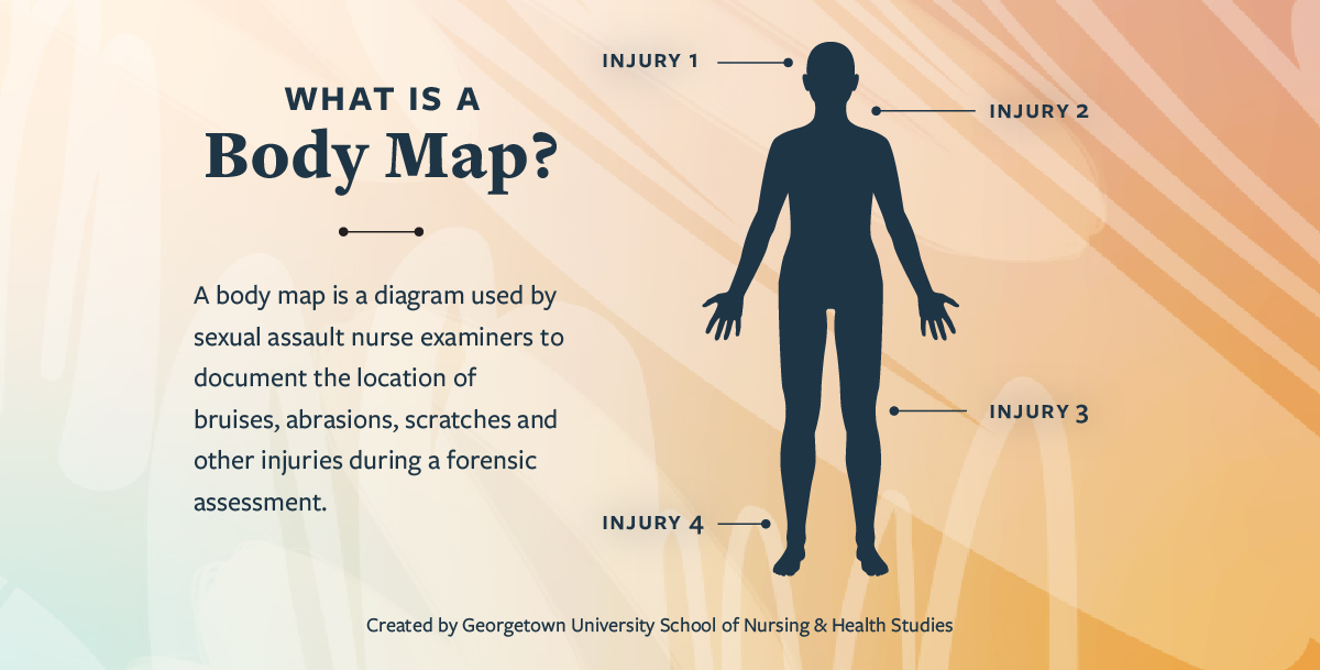 A body map is a diagram used by SANEs to document the location of bruises, abrasions, scratches and other injuries during a forensic exam