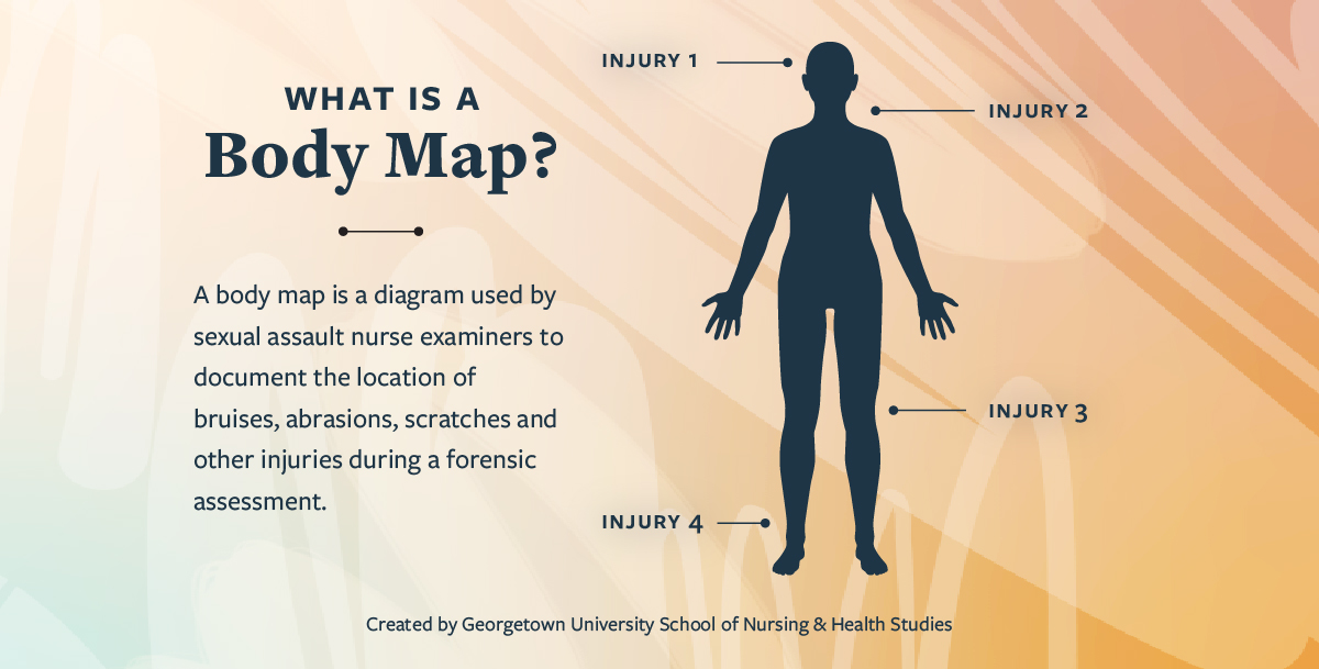 From Forensics To Advocacy The Importance Of Sexual Assault Nurse Examiners Nursing Georgetown